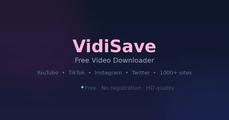 VidiSave screenshot 1