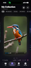 WallVault: Private Wallpaper Manager gallery image