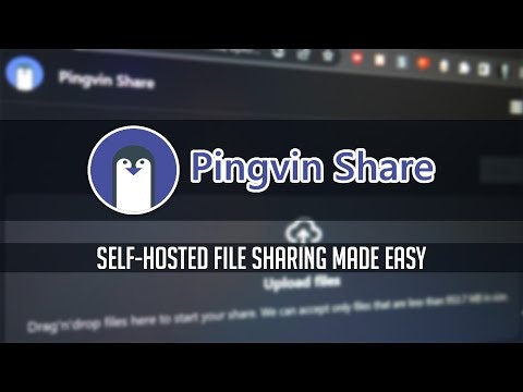 Pingvin Share gallery image