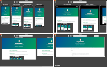 Responsivize gallery image