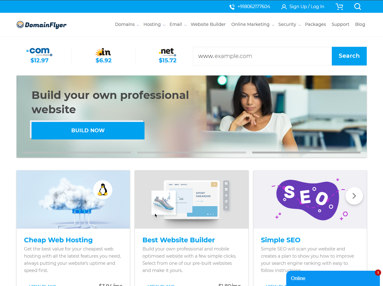 Domain Flyer gallery image