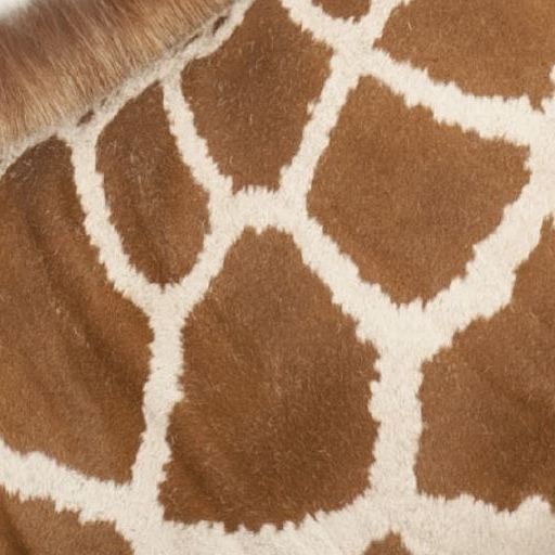 Jirafe - Jira Cloud Integration