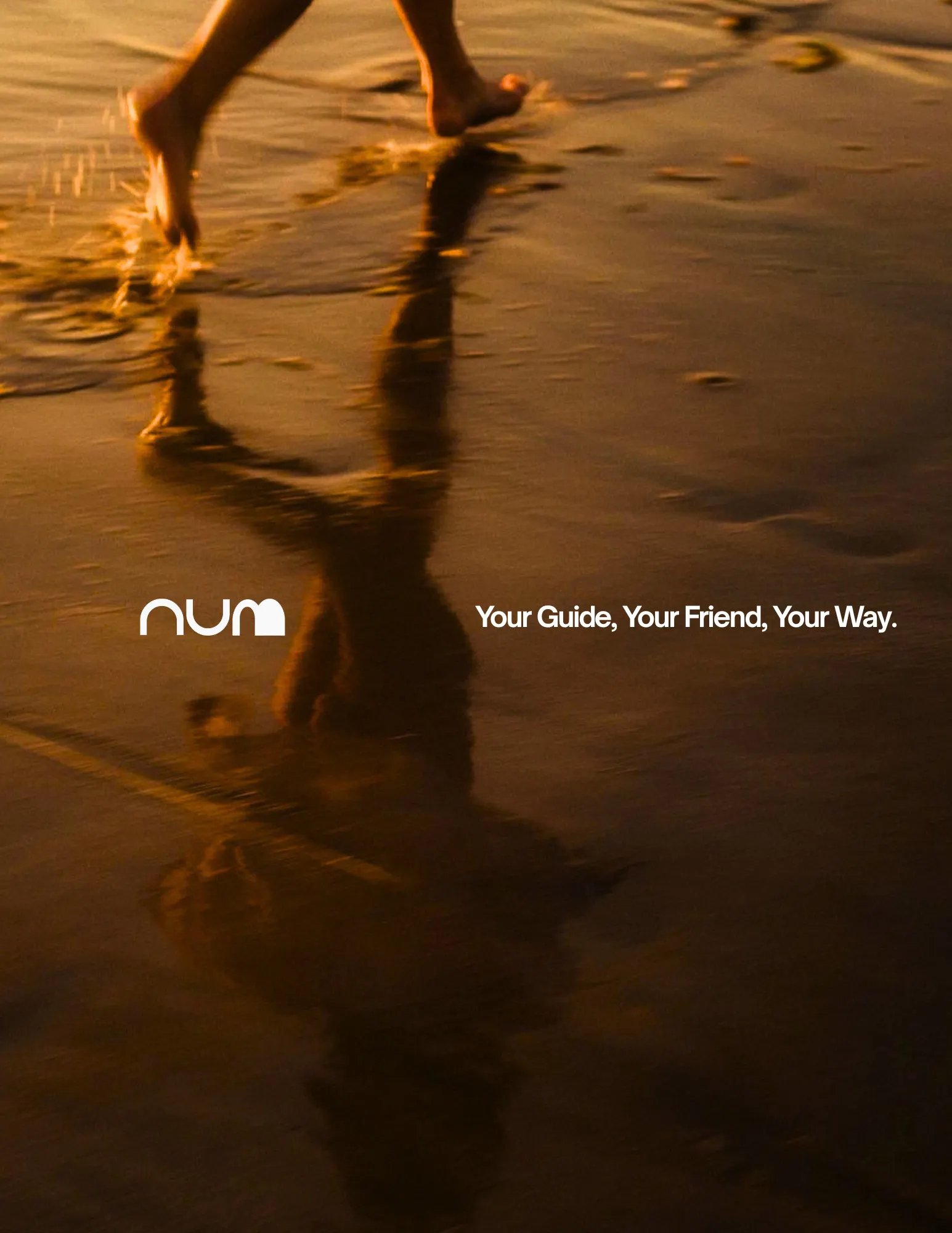 NUM