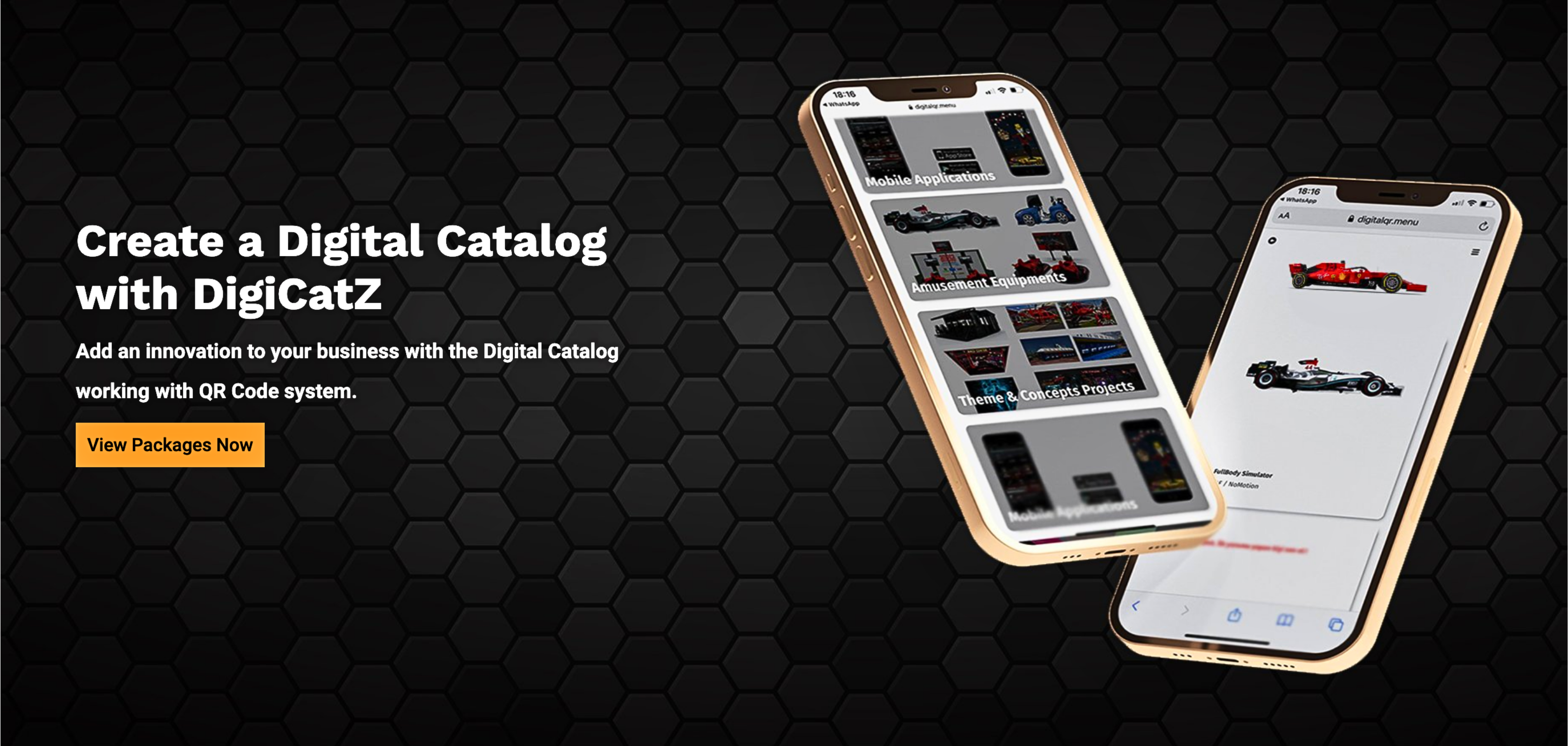 DigiCatZ gallery image