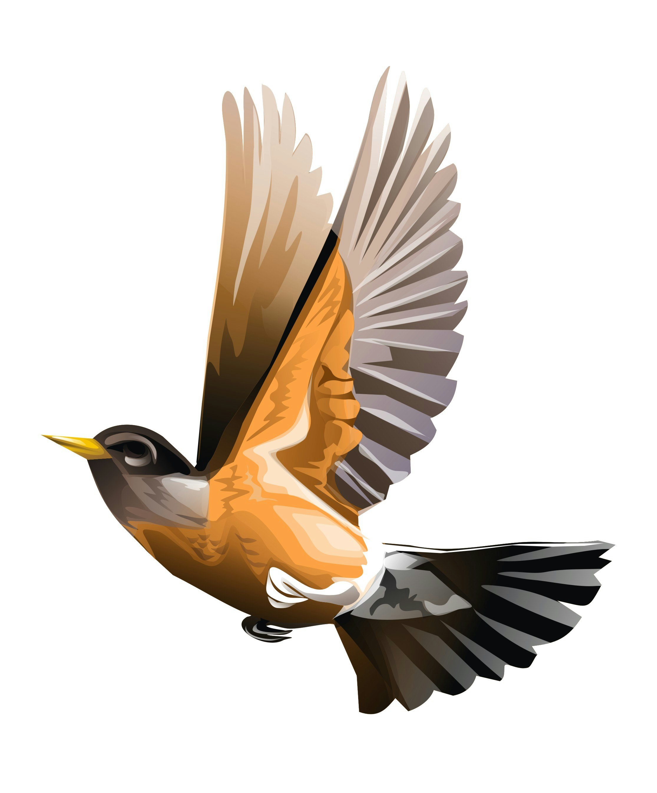 robinwords