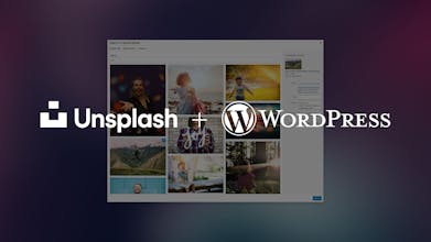 Unsplash for WordPress gallery image
