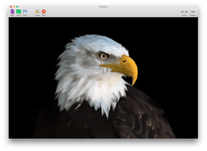 Primitive gallery image