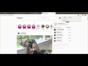 Instoo gallery image