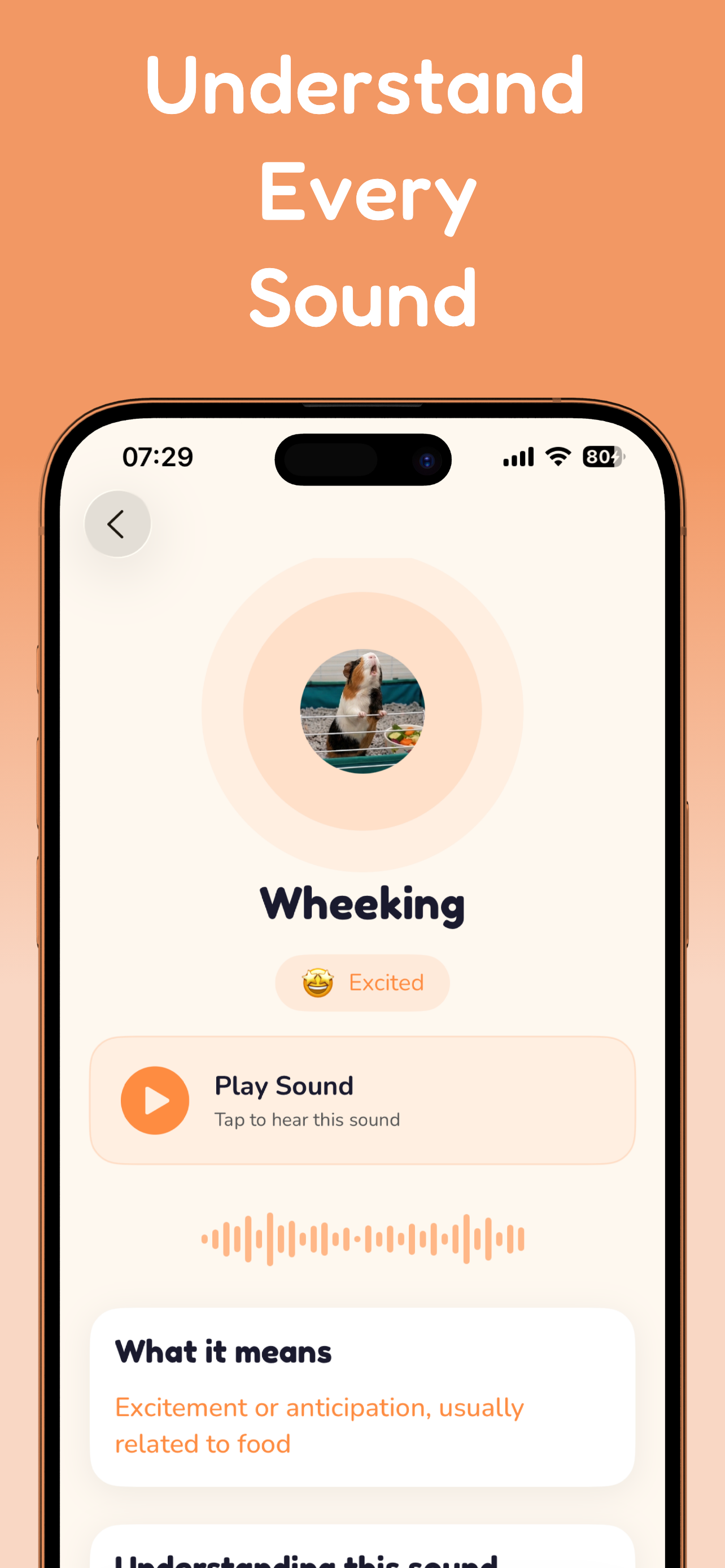 Wheeky gallery image