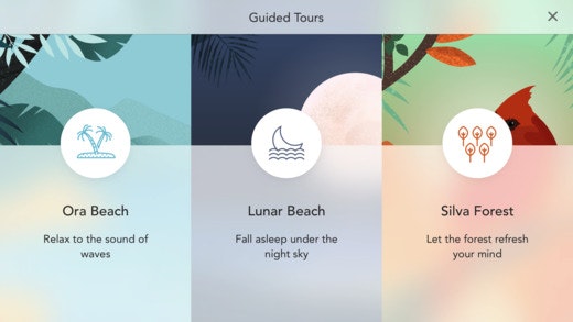 Sonus Island gallery image