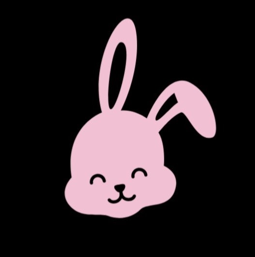 Bunnie.io