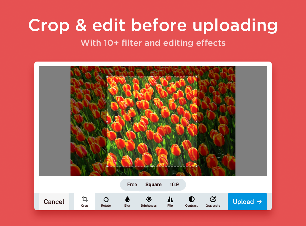 Uppload v2 gallery image