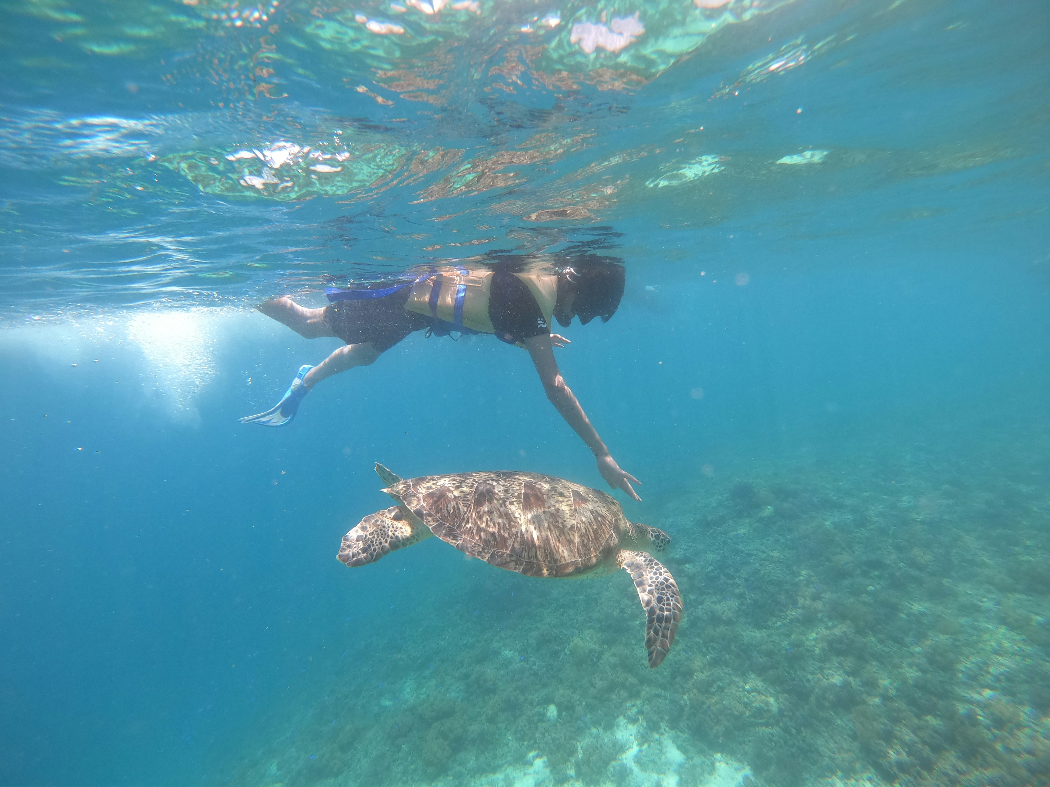 paket wisata lombok media 2