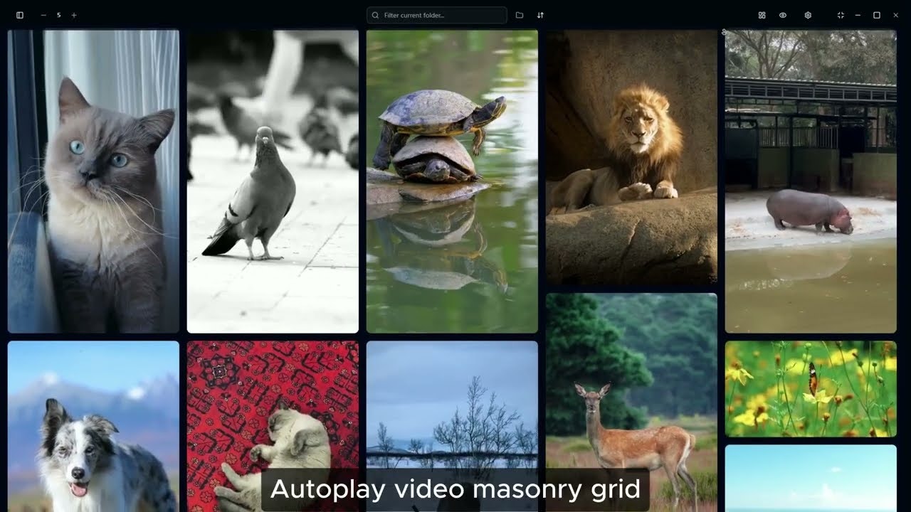 Local Masonry Video Player gallery image