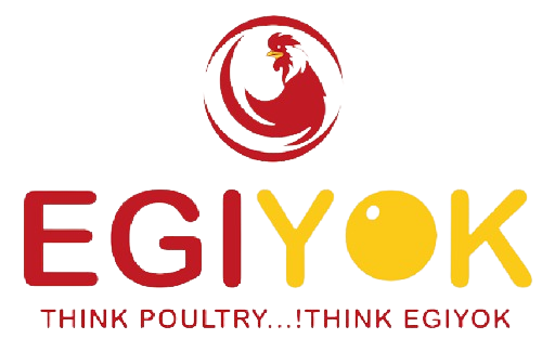 EGIYOK - Online Poultry Trading