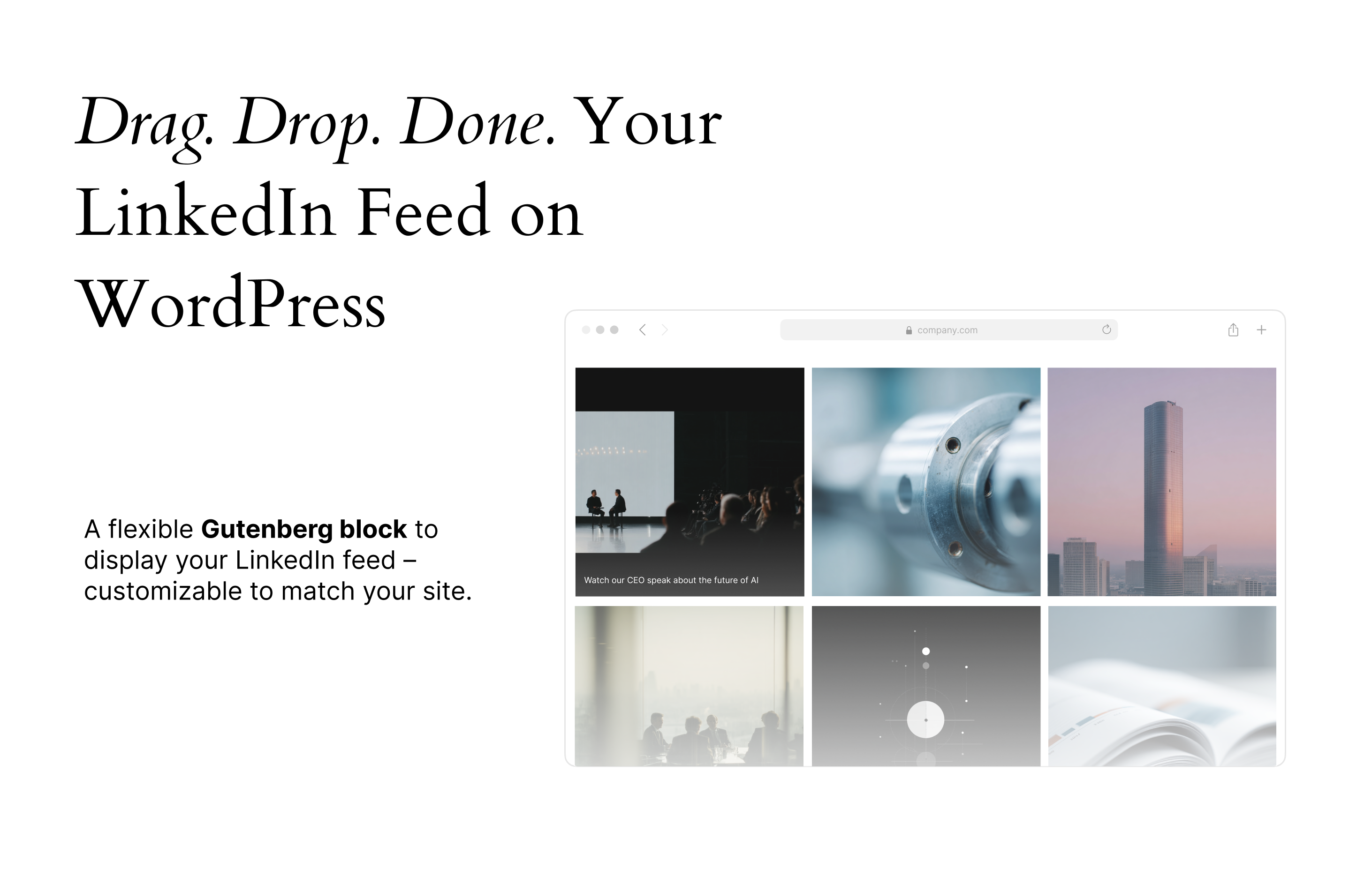 ProFeedWP screenshot 2 ProFeedWP screenshot 2