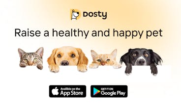 A happy pet owner using the Dosty app to access professional pet care tips and advice.