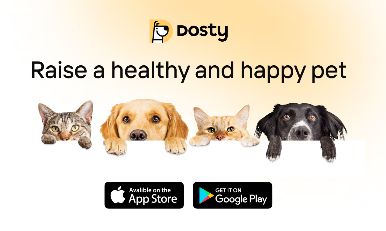 Dosty Petcare - Поднимите здорового и счастливого питомца, для родителей собак и кошек медиа 2