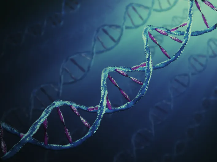 genome.js