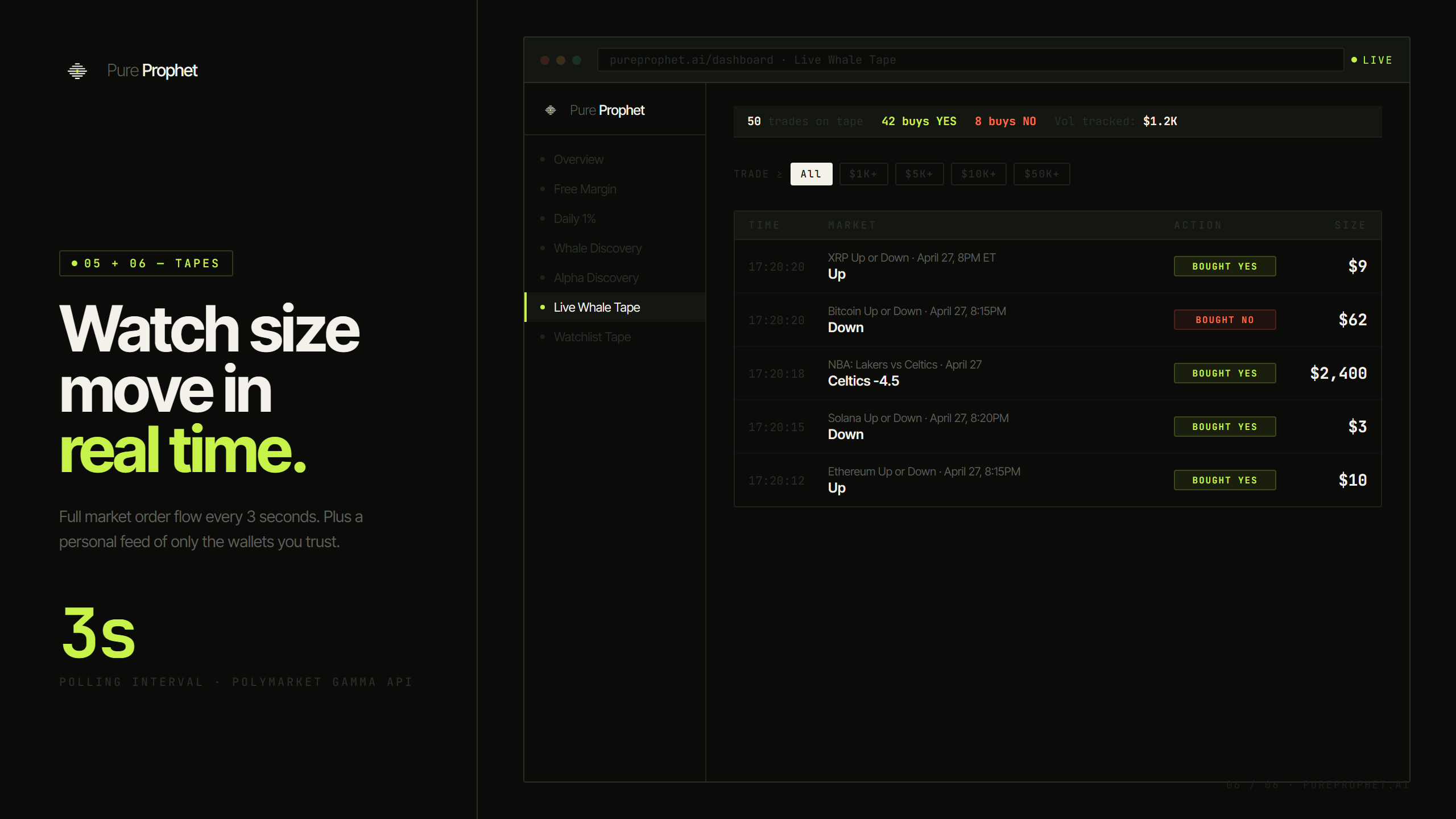 Pure Prophet gallery image