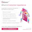 Customer Experience