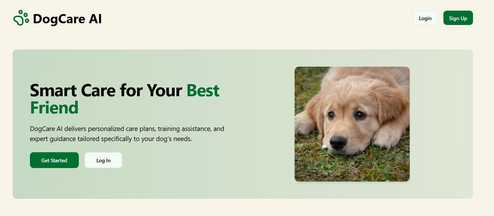 DogCareAI media 2