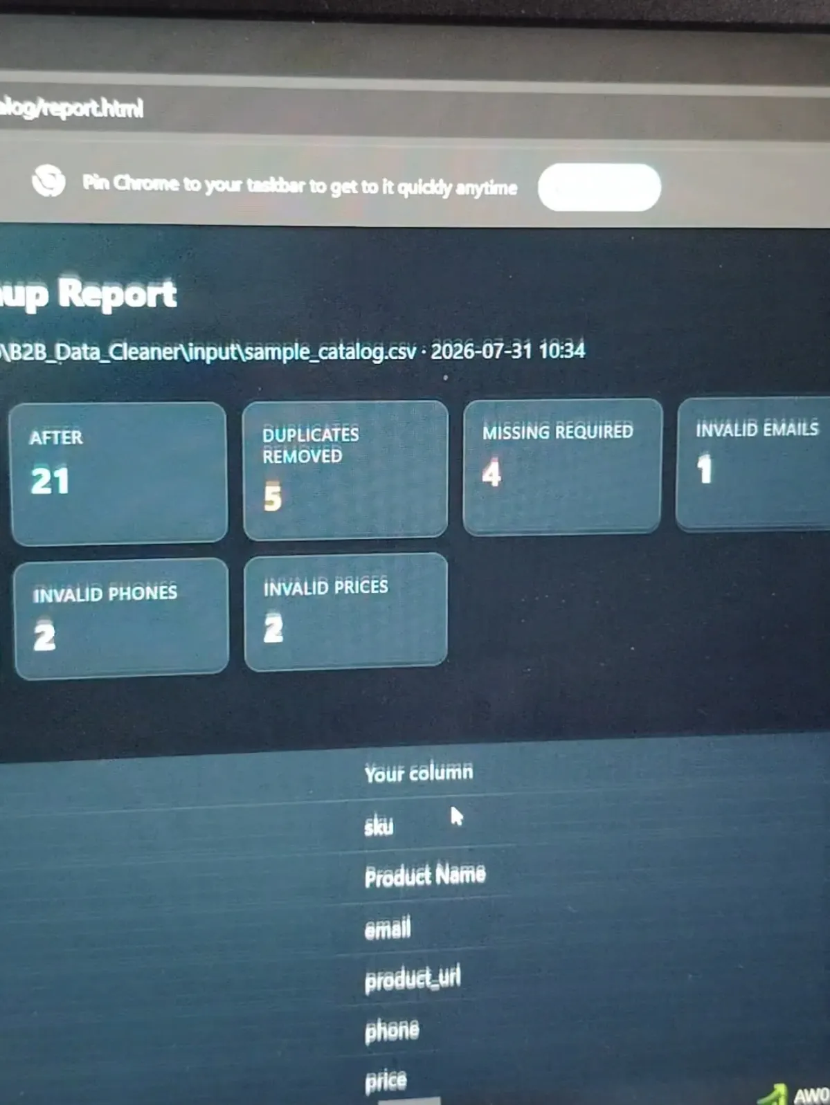 B2B Data Cleaner
