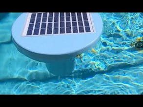 The Mussel gallery image