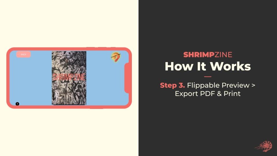 SHRIMP ZINE media 4