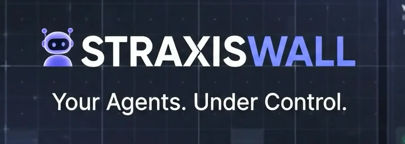 StraxisWall gallery image