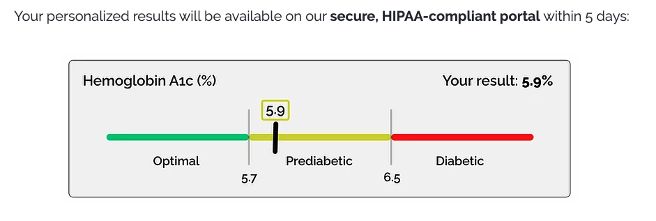 Sapien gallery image