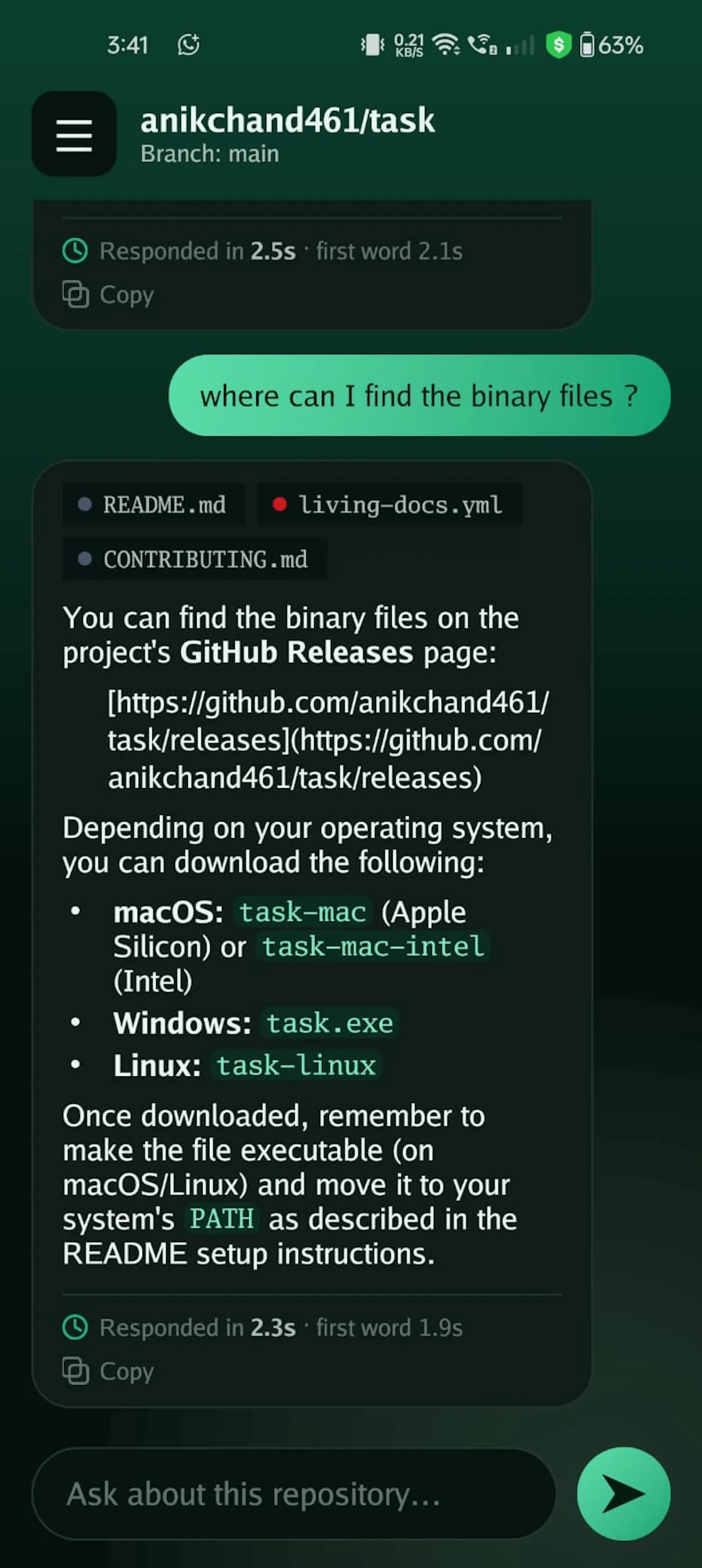 ChatWithRepo screenshot 3