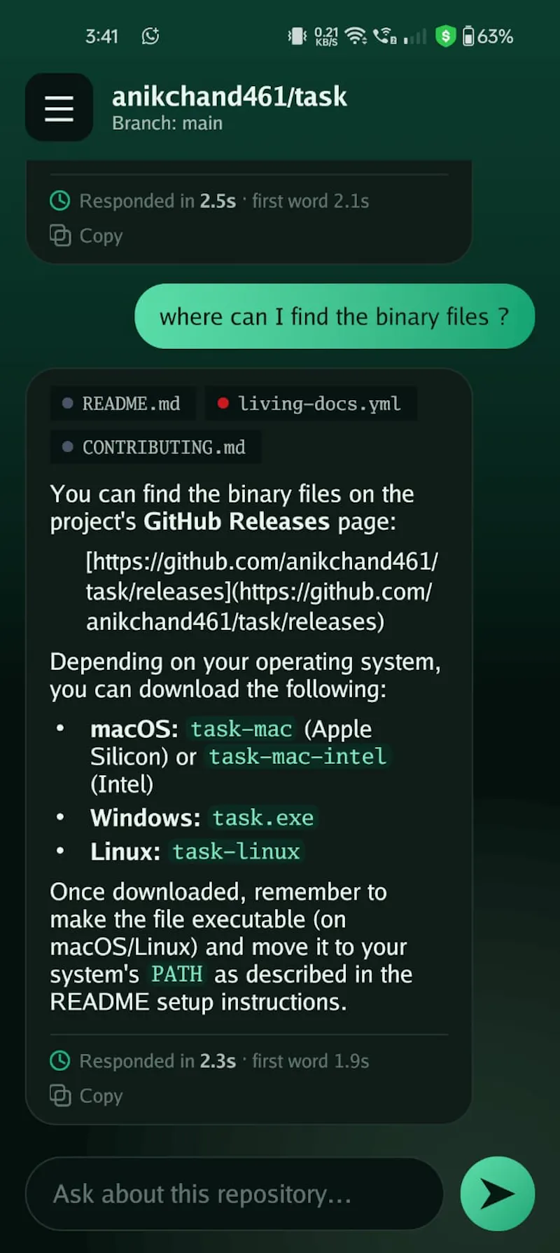 ChatWithRepo screenshot 3