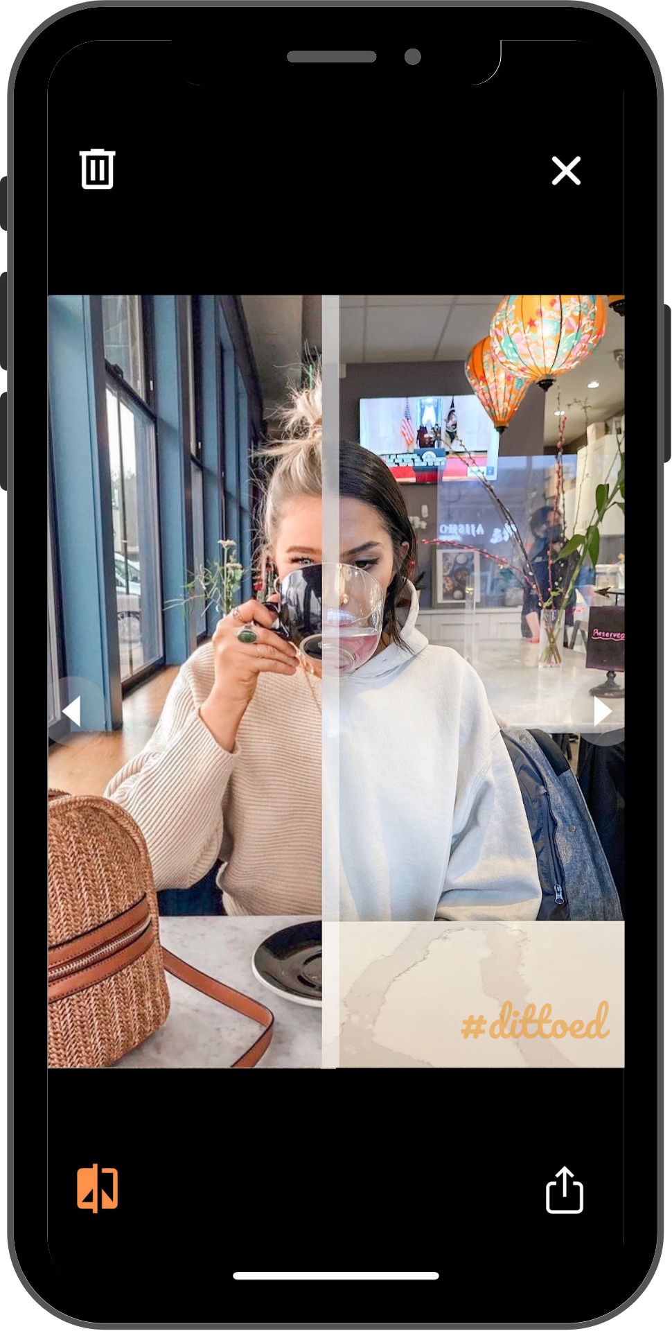 Dittoed gallery image