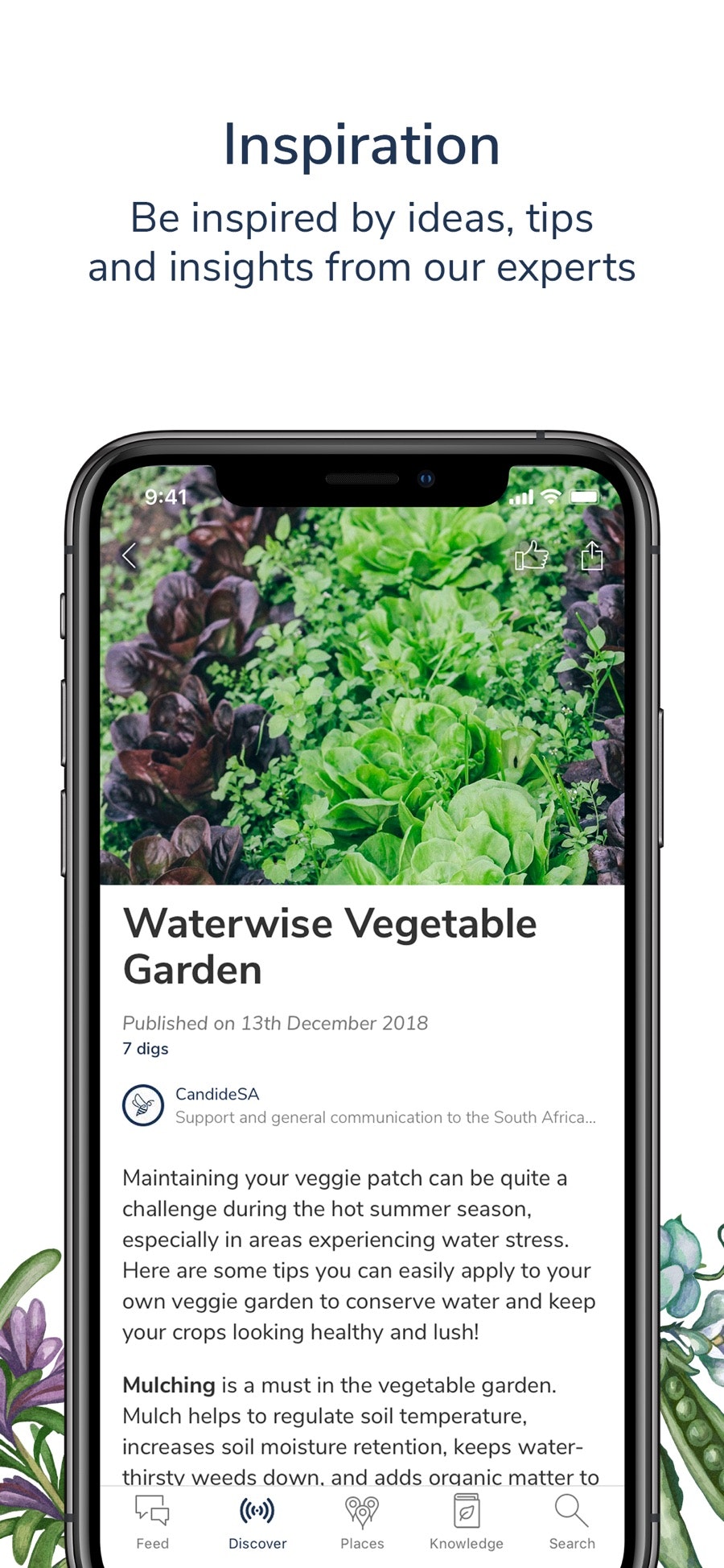 Candide gallery image