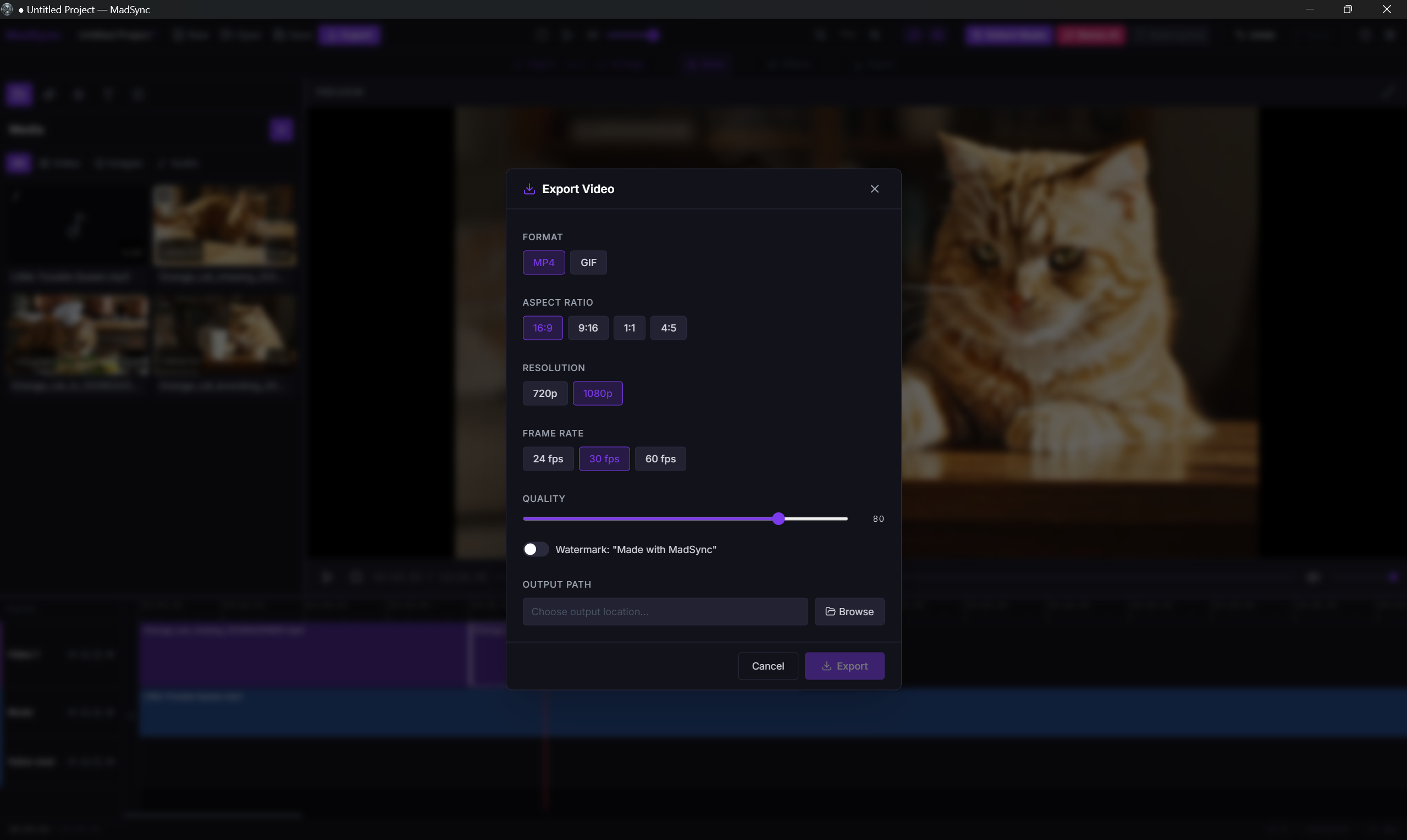 MadSync - Music Video Editor gallery image