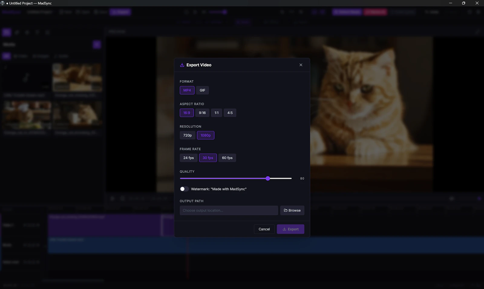 MadSync - Music Video Editor screenshot 11