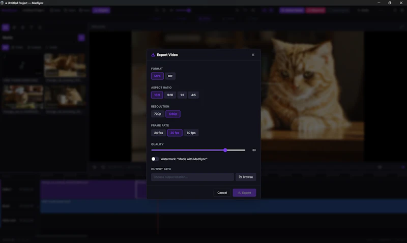 MadSync - Music Video Editor screenshot 11