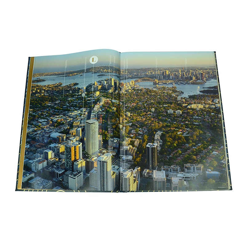 Impresión del libro de imágenes de tapa dura de cuero media 7