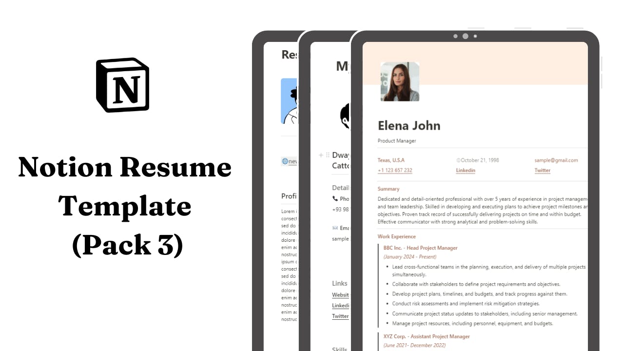 Notion Resume Template - pack of 3 media 1