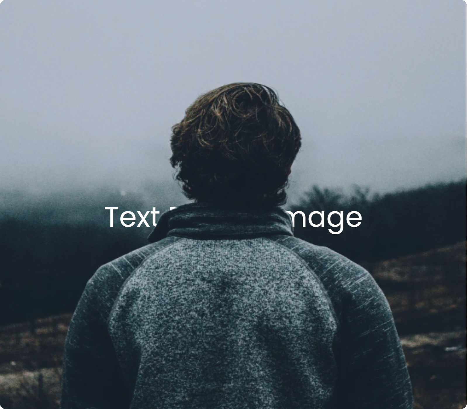 Photovanish - BG-Entferner und Text-Behind-Image-Werkzeug Medien 1