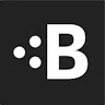 Braintrust logo
