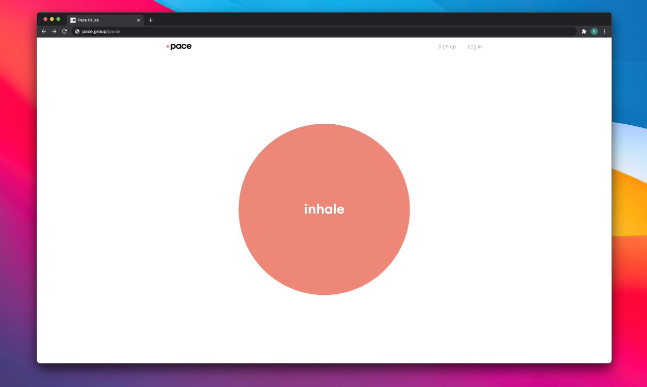 Pace Pause gallery image