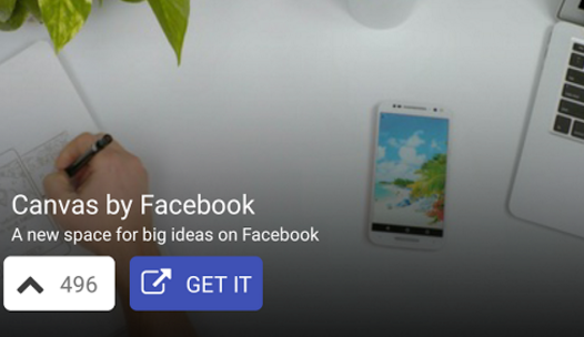 Feline gallery image