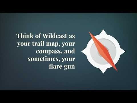 Wildcast gallery image