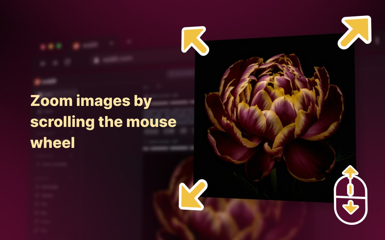 Enhanced Image Viewer gallery image