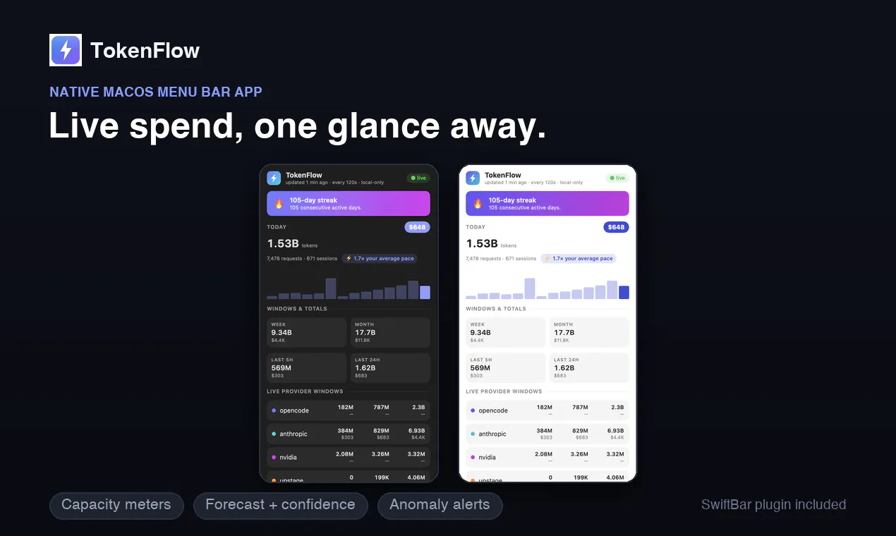 Tokenflow gallery image