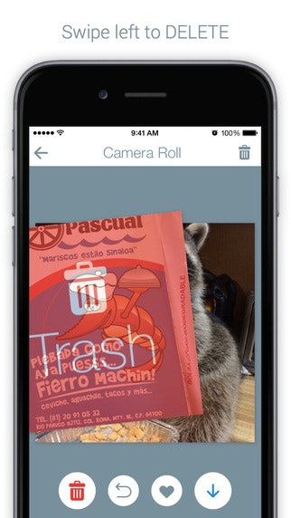 PhotoTrash gallery image