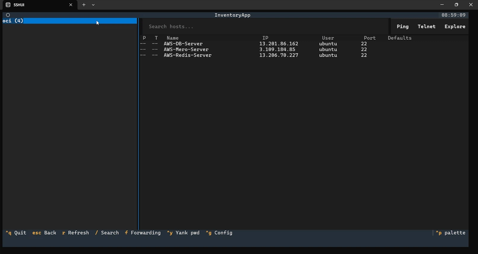 SSHUI: Multi-Ansible Inventory Manager screenshot 2