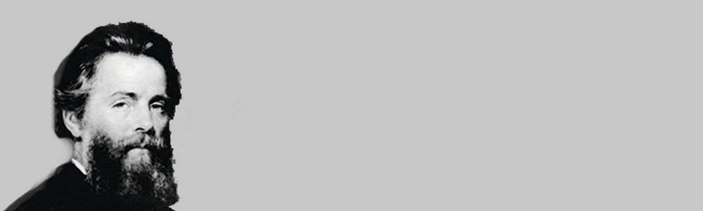 Moby Dick gallery image